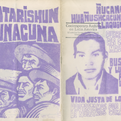Political Pamphlet.png