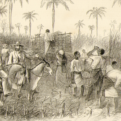 Cuttingcane_Commodities of Empire.png