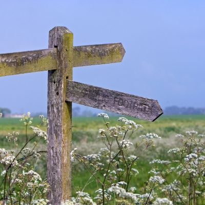 LSP signpost-164908_1920.jpg
