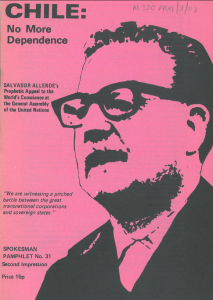 chile_polpam-213x300.png