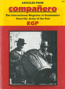 guate_polpam-220x300.png