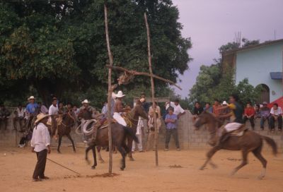horseback.jpg